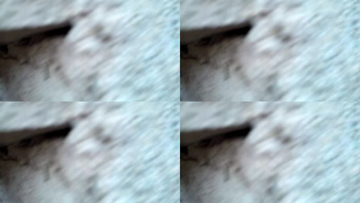 我本初中艺考第一季1238