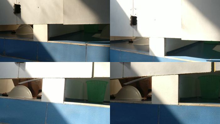 生物老师20170907