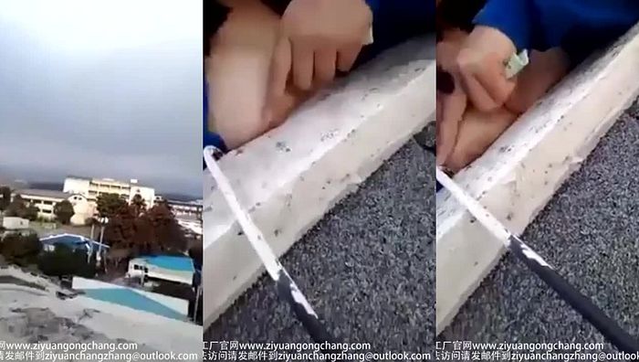 我本初中艺考第二季474