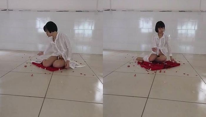 舞蹈紫薇表演081