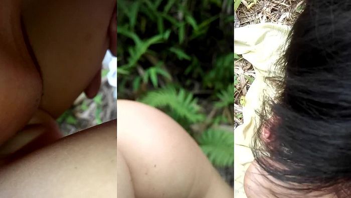 媲美欣高清系列21