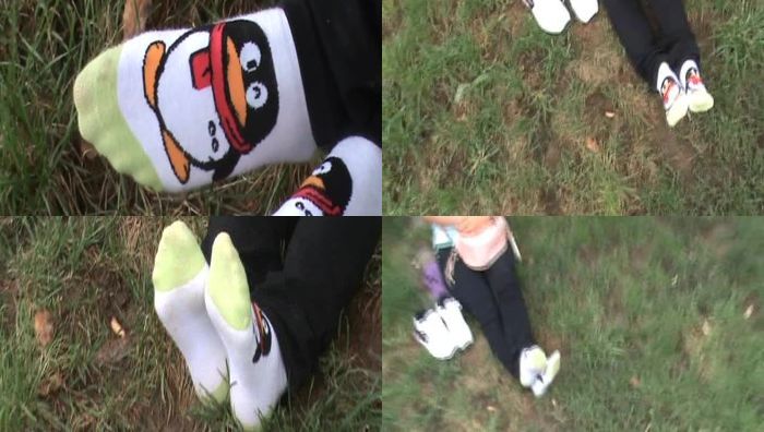 015银银室外棉袜秀