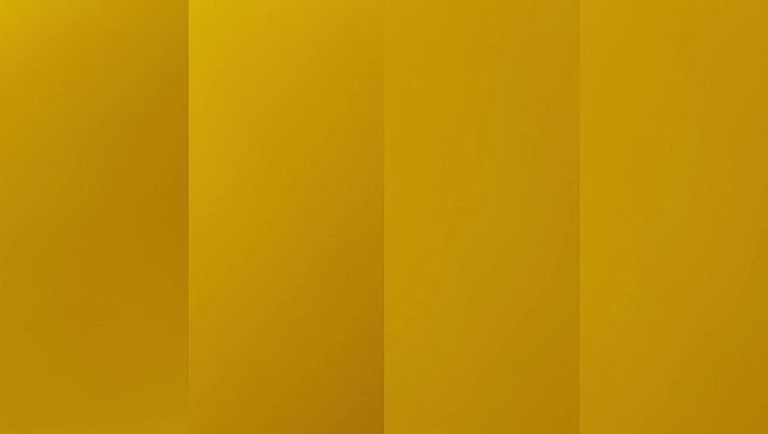 台湾姐妹系列163