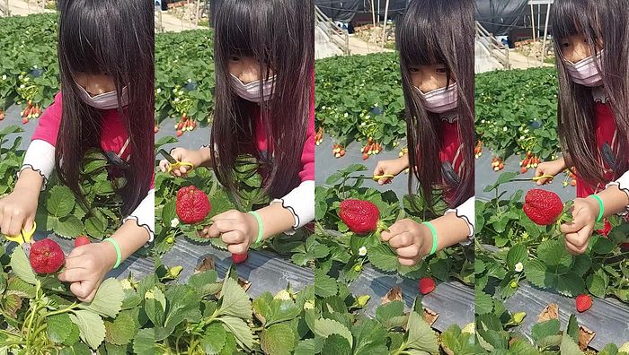 台湾姐妹系列190