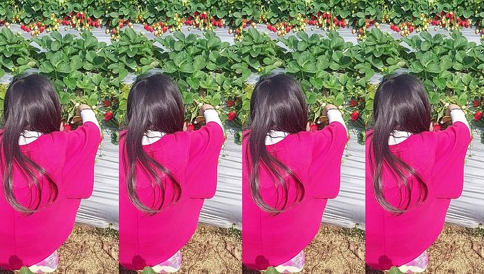 台湾姐妹系列191