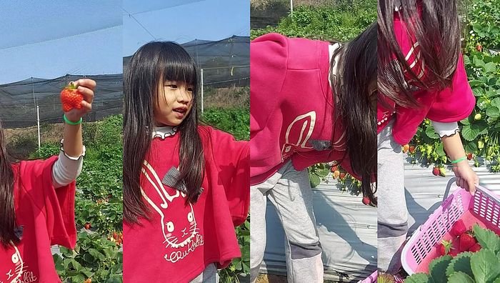 台湾姐妹系列194