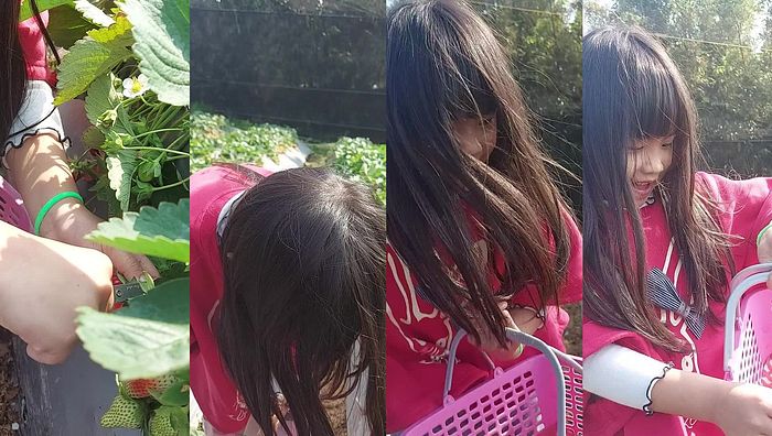 台湾姐妹系列195