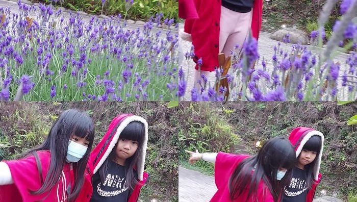 台湾姐妹系列204