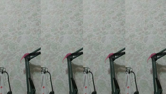 台湾姐妹系列217