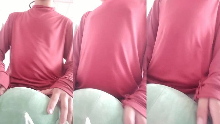 暑假作业系列535