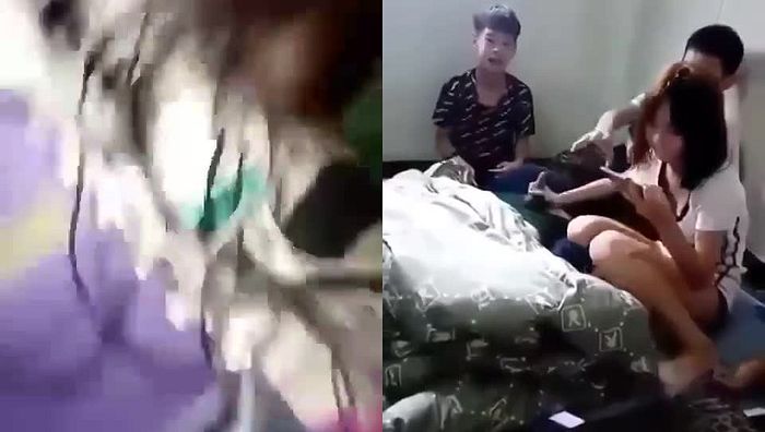 小马拉大车系列六064