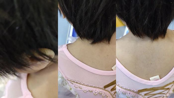 瑶瑶第三季系列246