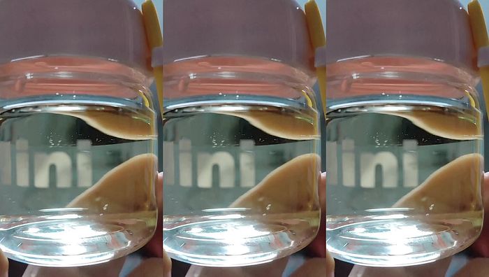 瑶瑶第三季系列284