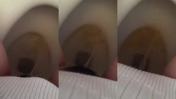 日本萝莉小初系列1174