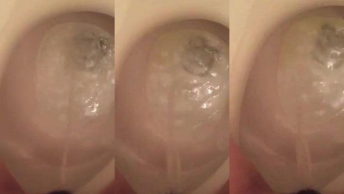 日本萝莉小初系列1198