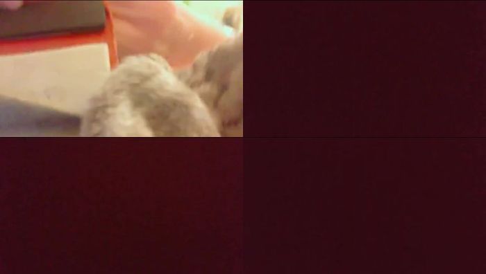 日本萝莉小初系列842