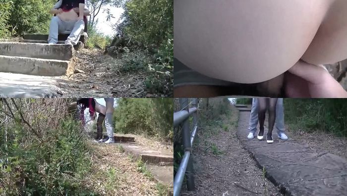 小马拉大车七系列141