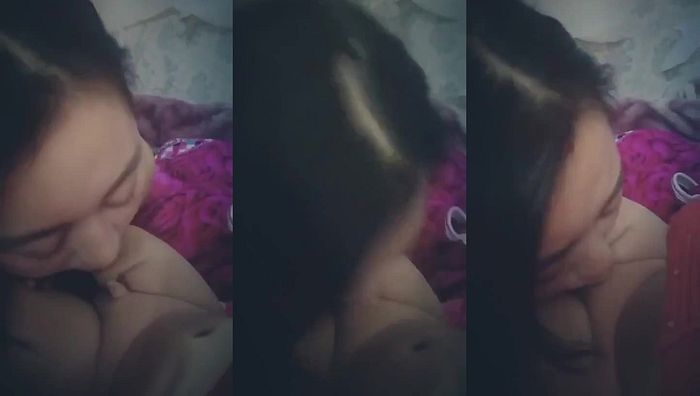 小马拉大车七系列144