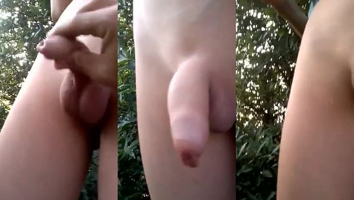 亚洲小马拉大车八系列172