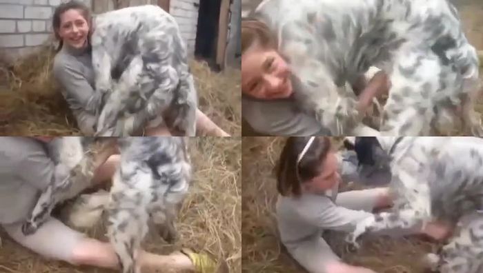 暗网xing暴力系列032