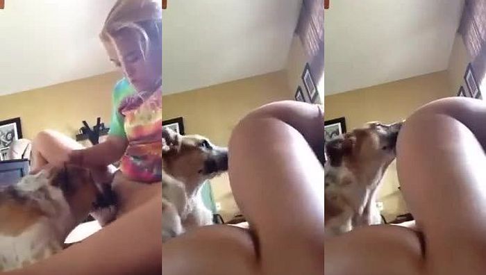 暗网xing暴力系列035