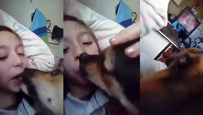 暗网xing暴力系列043