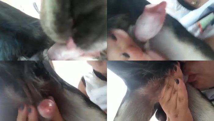 暗网xing暴力系列044