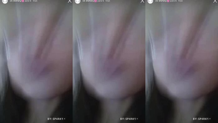 欧美试镜自拍系列114