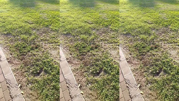 瑶瑶第二季系列017