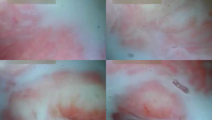 蓝色面具系列060