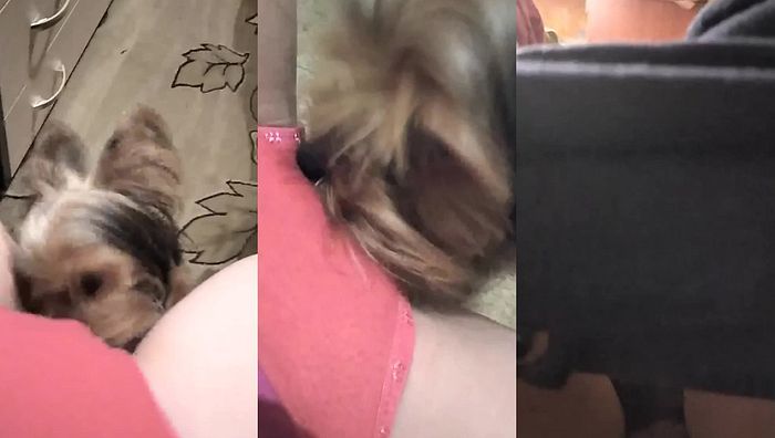 欧美萝莉试镜系列361