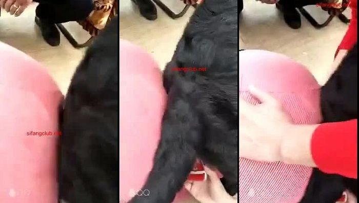 中国人与动物系列001