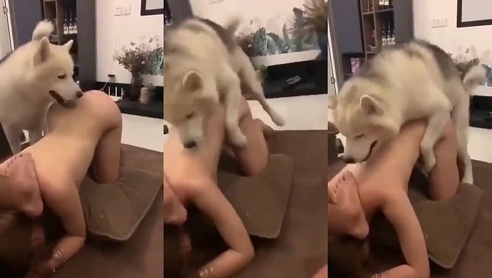 中国人与动物系列019