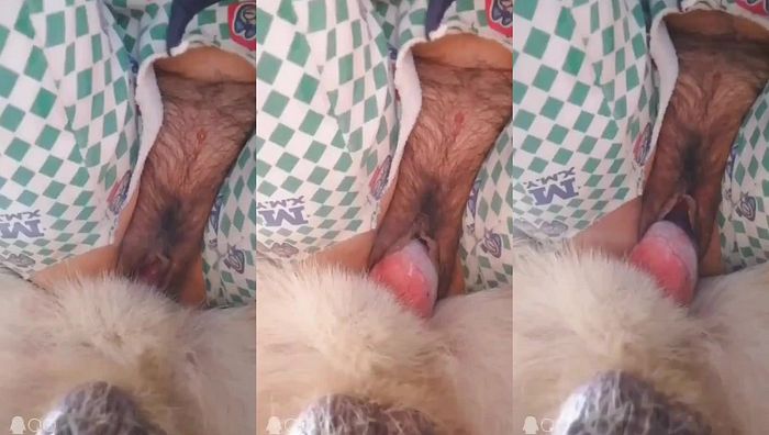 中国人与动物系列020