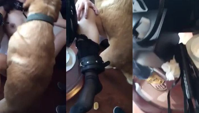 中国人与动物系列024