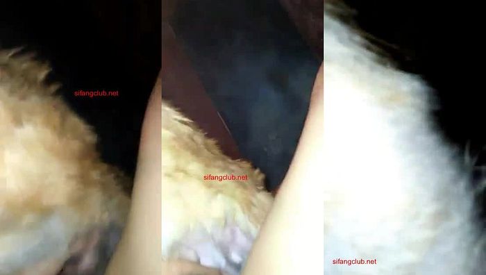 中国人与动物系列027