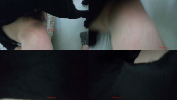 中国人与动物系列032