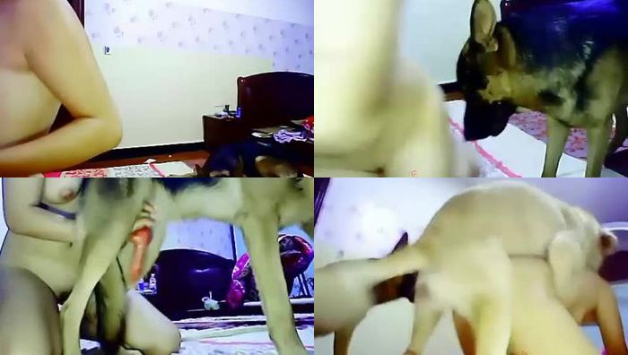 中国人与动物系列034