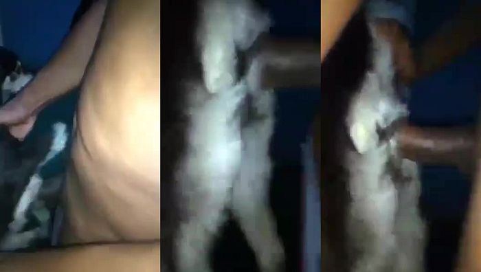 中国人与动物系列046