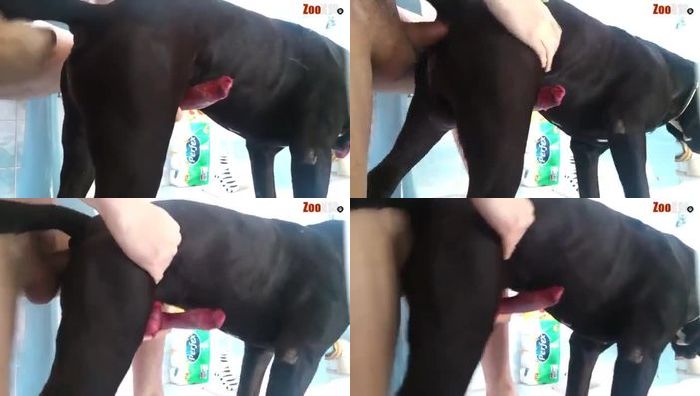 中国人与动物系列050