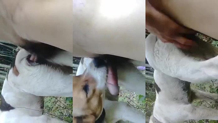 中国人与动物系列057