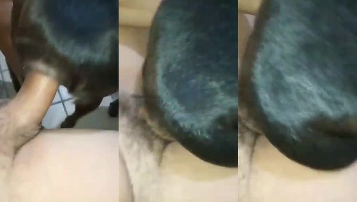 中国人与动物系列062