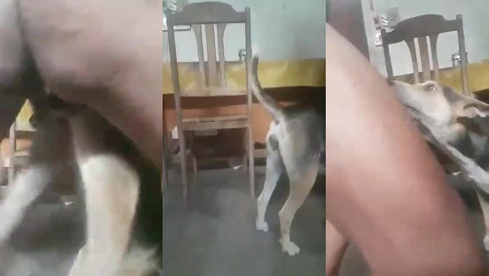 中国人与动物系列067