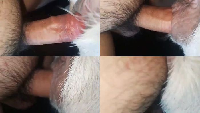 中国人与动物系列070