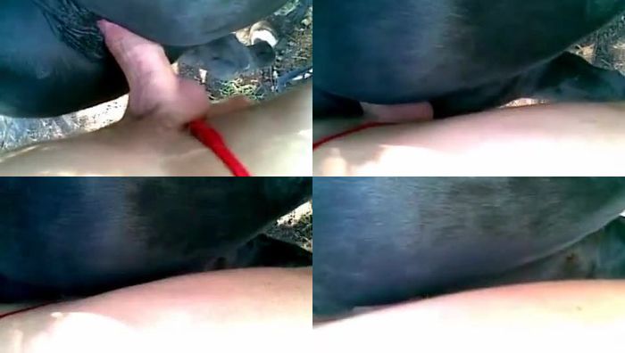 中国人与动物系列074