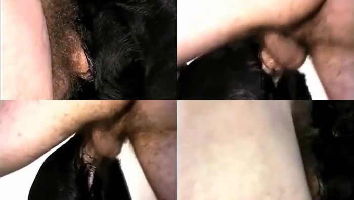 中国人与动物系列075