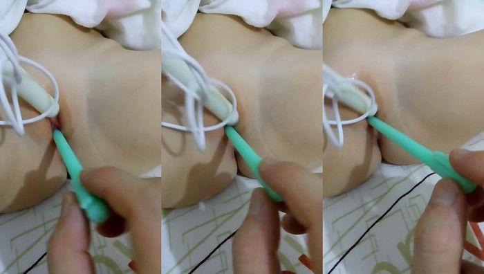 U系半作战六系列024