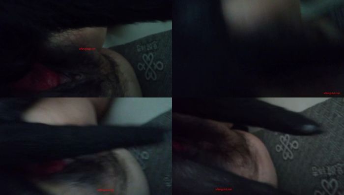 中国人与动物系列082