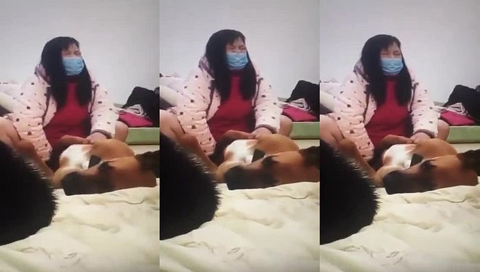 中国人与动物系列083