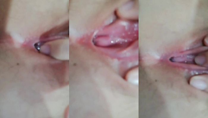 义务教育橘系列066